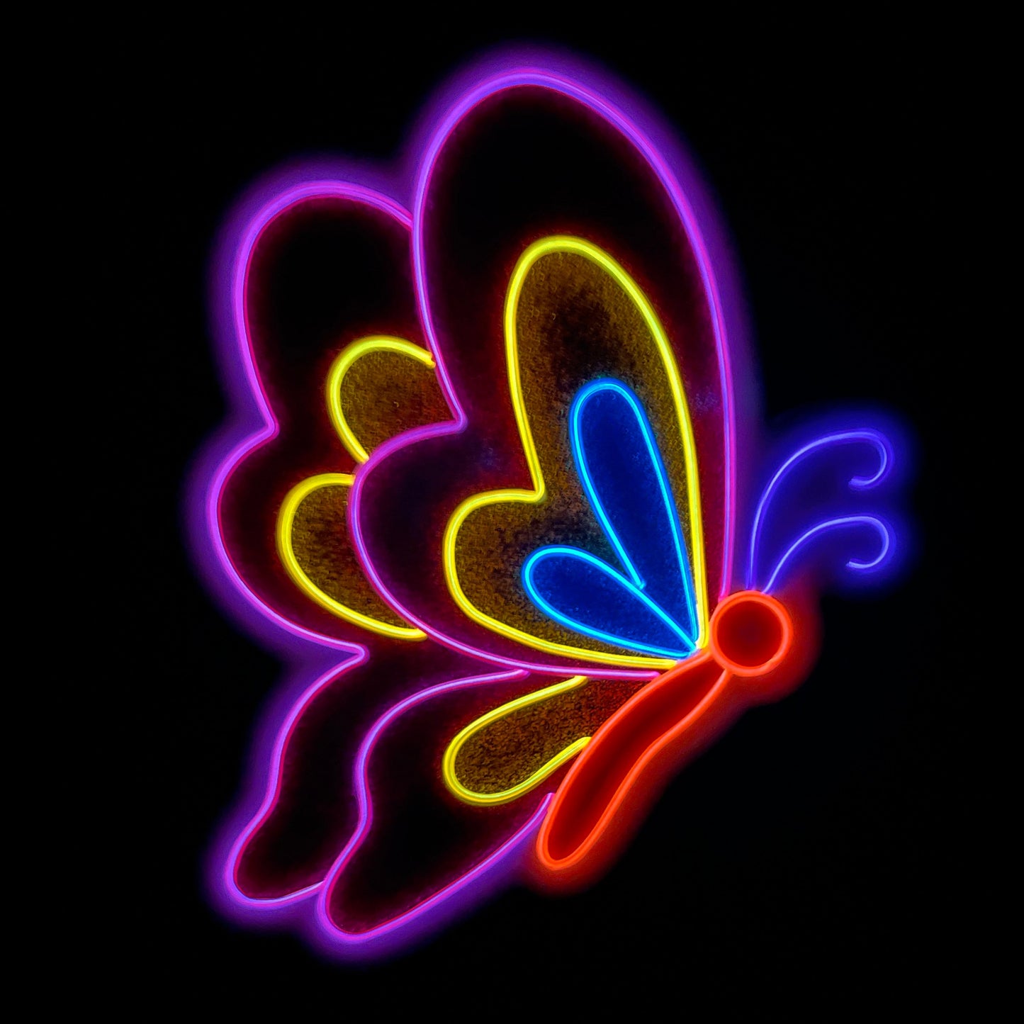 Closed Wing Butterfly Neon Art