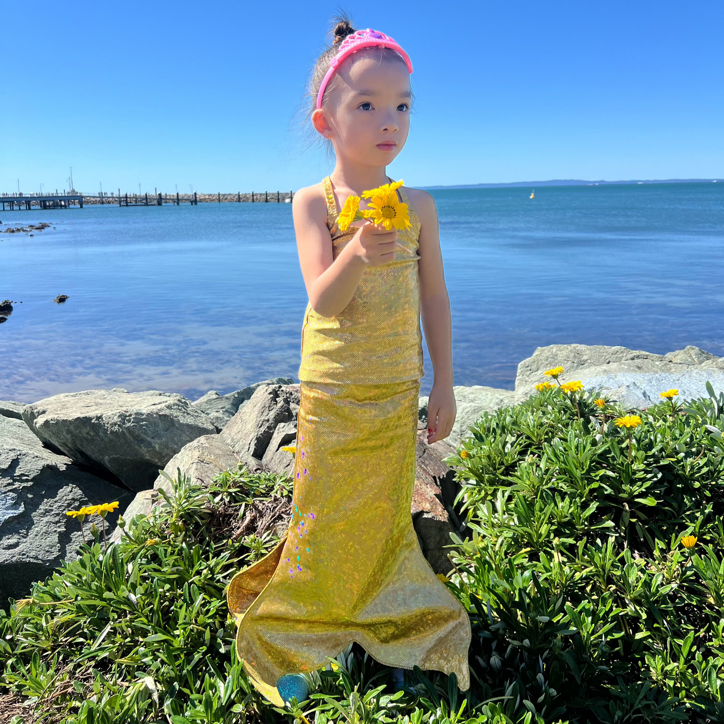 Walkable (dress-up) Mermaid Tail